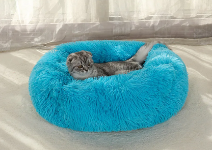 Plush Bed