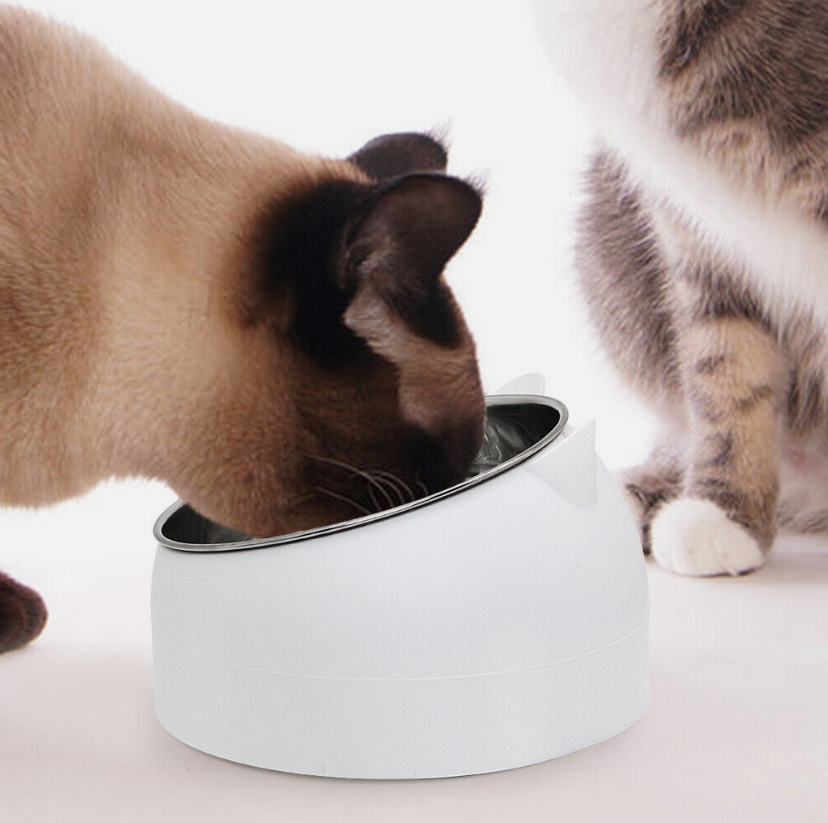 PurrPalette Bowl - Bowl For Cats