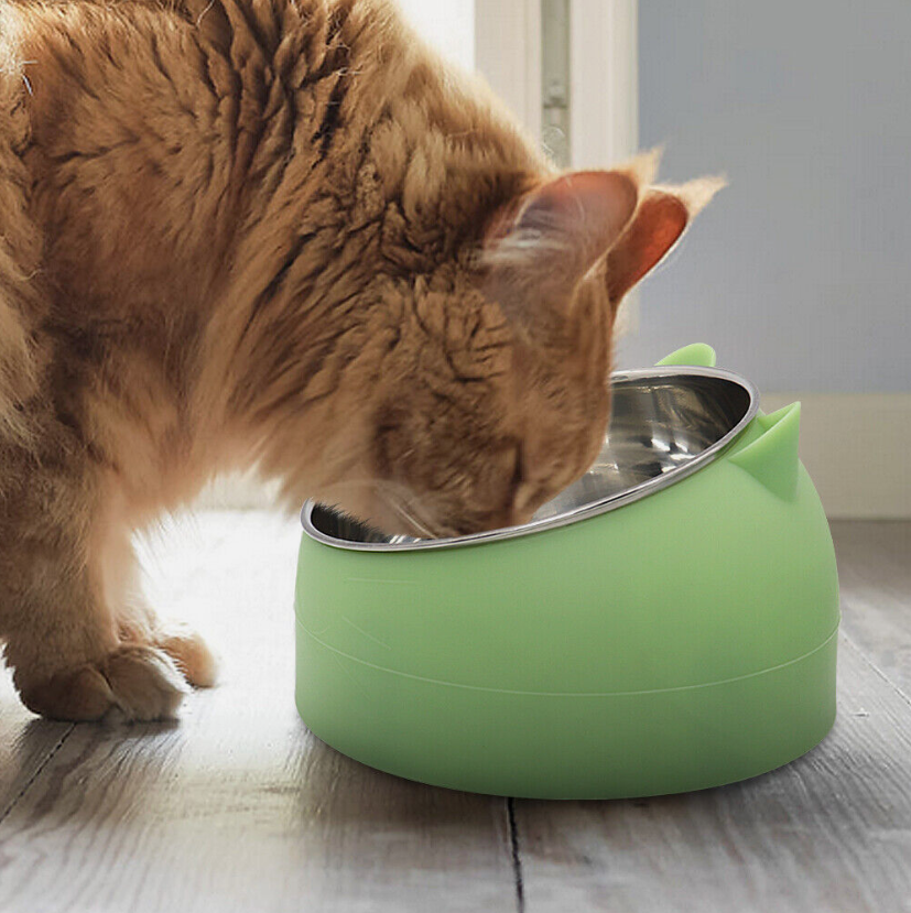 PurrPalette Bowl - Bowl For Cats