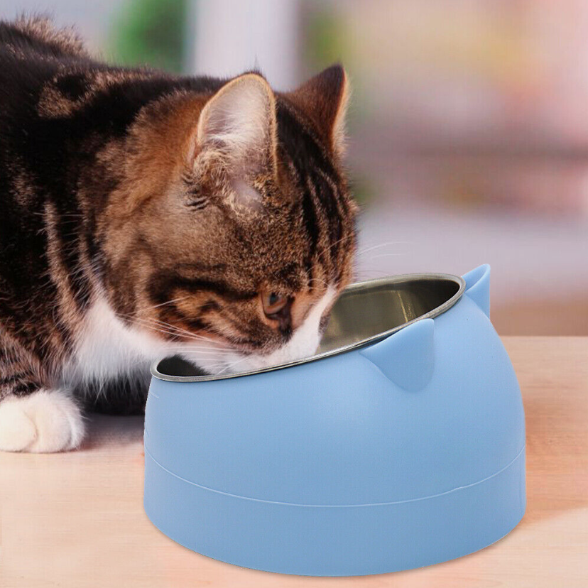 PurrPalette Bowl - Bowl For Cats