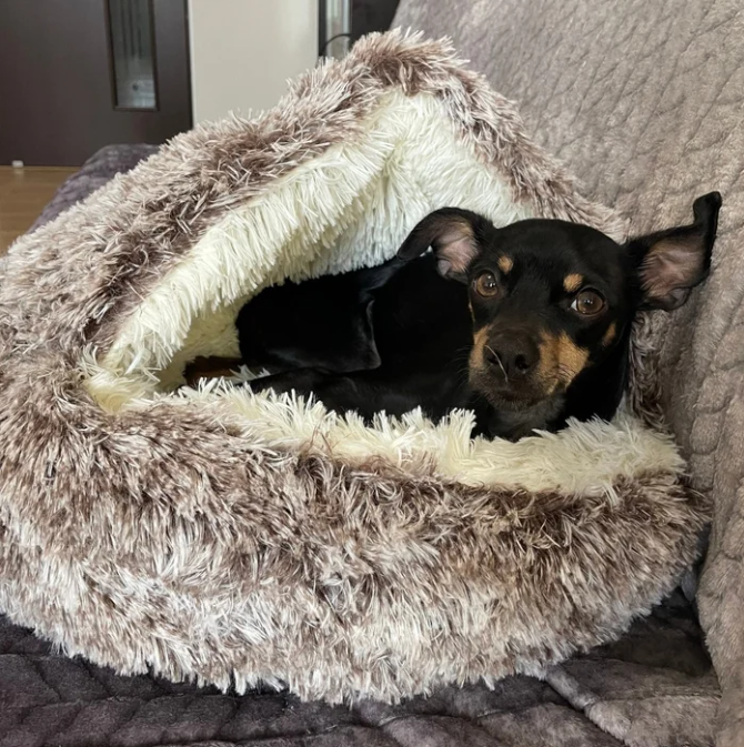 CozyCave - Premium Pet Bed