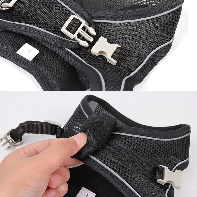 Harness Leash (Small Dogs)